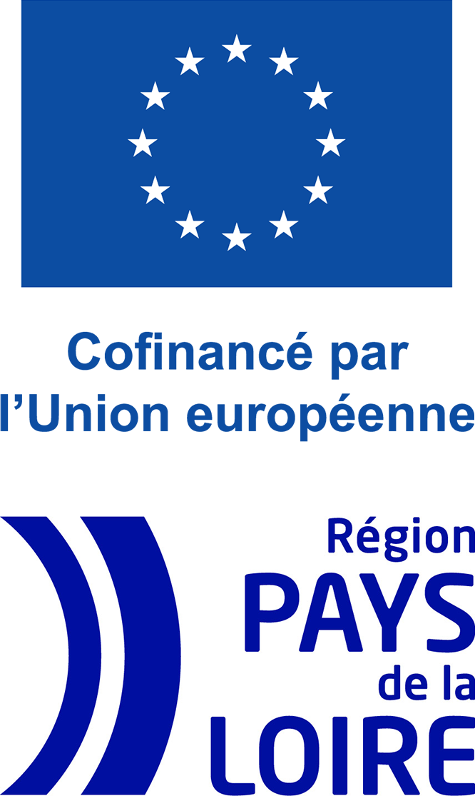 logo_fonds_social_europeen
